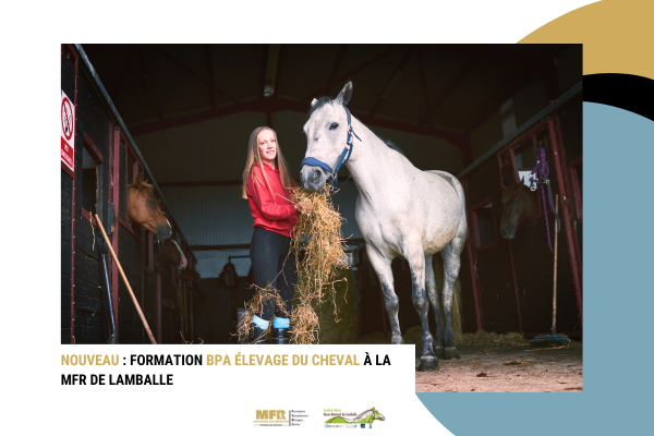 Nouvelle_formation_BPA_Elevage_Cheval_Lamballe